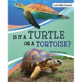 Is It a Turtle or a Tortoise?