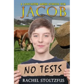 A Lancaster Amish School for Jacob