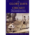 The Glory Days of Cricket: The Extraordinary Story of Broadhalfpenny Down