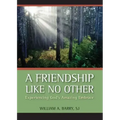A Friendship Like No Other: Experiencing God's Amazing Embrace