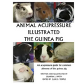 Animal Acupressure Illustration The Guinea Pig