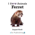 Ferret