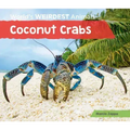 Coconut Crabs