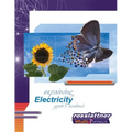 Explaining Electricity: Student Exercises and Teachers Guide