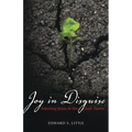 Joy in Disguise: Meeting Jesus in the Dark Times