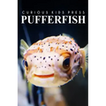 Puffer Fish - Curious Kids Press: Kids book about animals and wildlife, Children's books 4-6