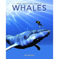 Whales: Amazing Pictures & Fun Facts on Animals in Nature