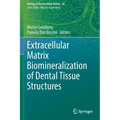 Extracellular Matrix Biomineralization of Dental Tissue Structures