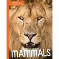 Mammals