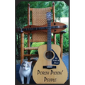 Porch Pickin' People: A Collection of Southern Poetry