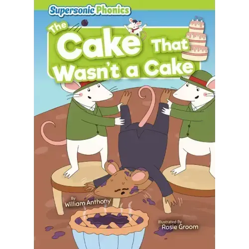 The Cake That Wasn't a Cake