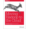 Moving Hadoop to the Cloud: Harnessing Cloud Features and Flexibility for Hadoop Clusters
