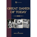 Great Danes of Today