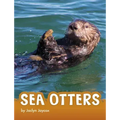 Sea Otters