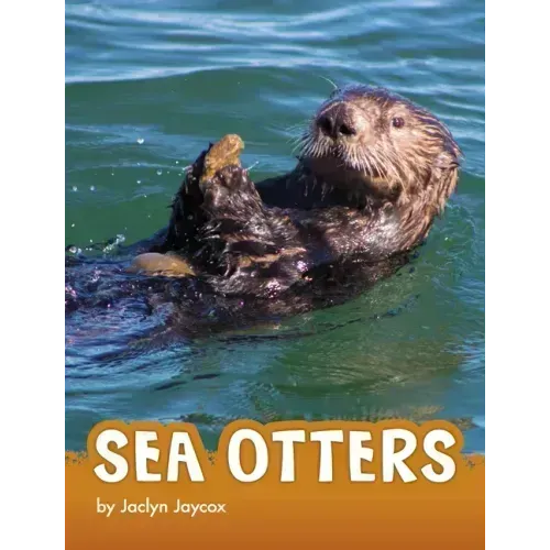 Sea Otters