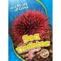 Sea Urchins