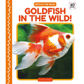 Goldfish in the Wild!