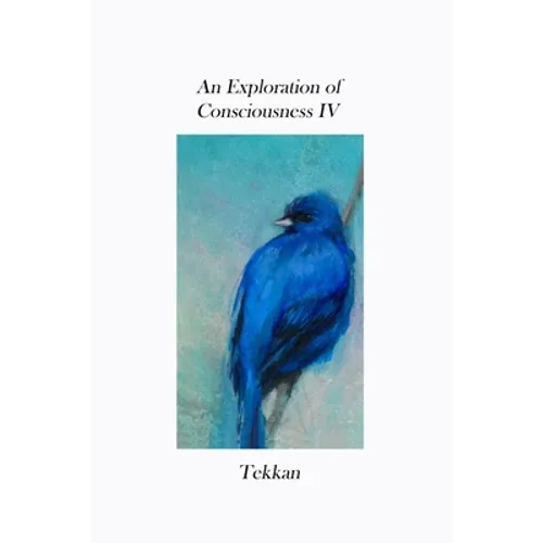 An Exploration of Consciousness IV