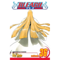 Bleach, Vol. 36