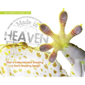 Made in Heaven: Man's Indiscriminate Stealing of God's Amazing Design