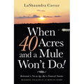 When 40 Acres and a Mule Won't Do!: Retirement Is Not an Age, but a Financial Number