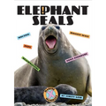 Elephant Seals