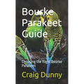 Bourke Parakeet Guide: Choosing the Right Bourke Parakeet
