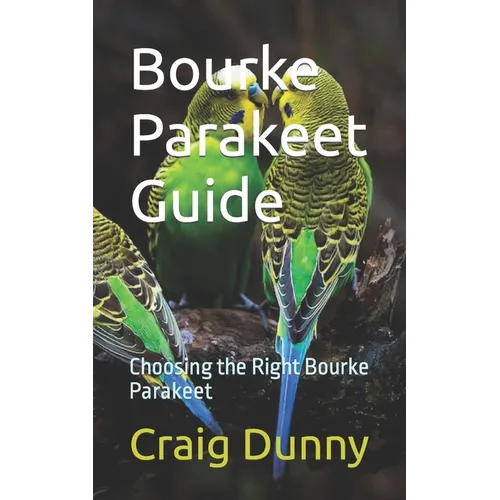 Bourke Parakeet Guide: Choosing the Right Bourke Parakeet
