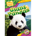 Giant Pandas