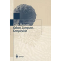 Gehirn, Computer, Komplexität
