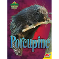 Porcupine