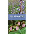Wildflowers of the Indiana Dunes National Park