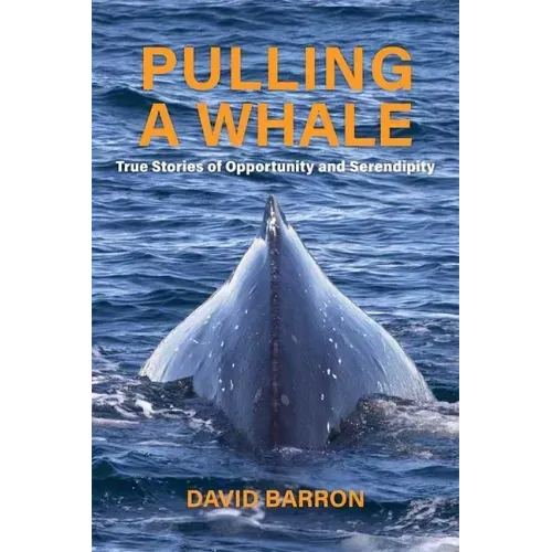 Pulling a Whale: True Stories of Opportunity and Serendipity