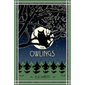 The Owlings: A Worldview Novella