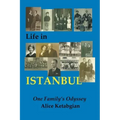 Life in ISTANBUL: A Family's Odyssey