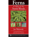 Ferns & Allies of the North Woods: A Handy Field Reference to All 86 of Our Ferns and Allies