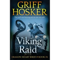 Viking Raid