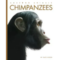 Chimpanzees