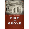 Fire in the Grove: The Cocoanut Grove Tragedy and Its Aftermath