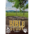 Bible Study: Summer