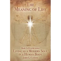 The Meaning of Life: Purpose and Mission of the Human Soul
