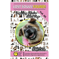 Lost Souls: FOUND! Inspiring Stories About Dogs Vol. III