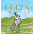 From a Colt's Perspective