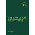 The Book of Joel: A Prophet Between Calamity and Hope