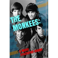 The Monkees: A Many Fractured Image