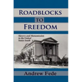Roadblocks to Freedom: Slavery and Manumission in the United States South