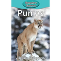 Pumas