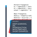 Deep Learning, an introduction with two nice short examples