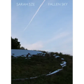 Sarah Sze: Fallen Sky