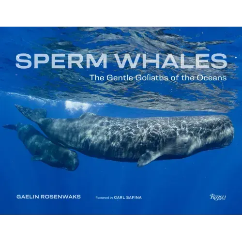 Sperm Whales: The Gentle Goliaths of the Ocean